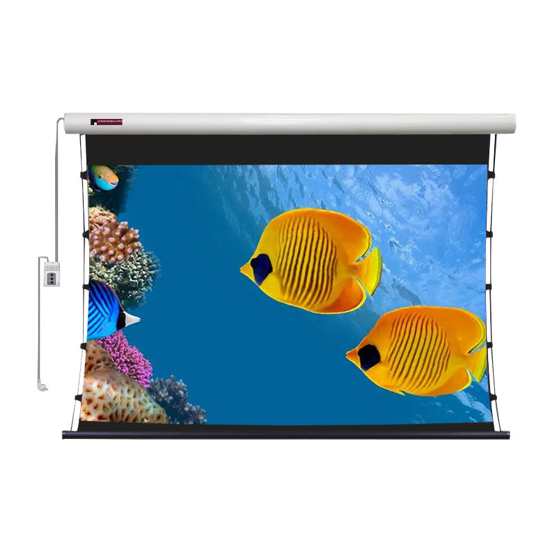 electric-drop-down-screen-1UClDXyAzdN216